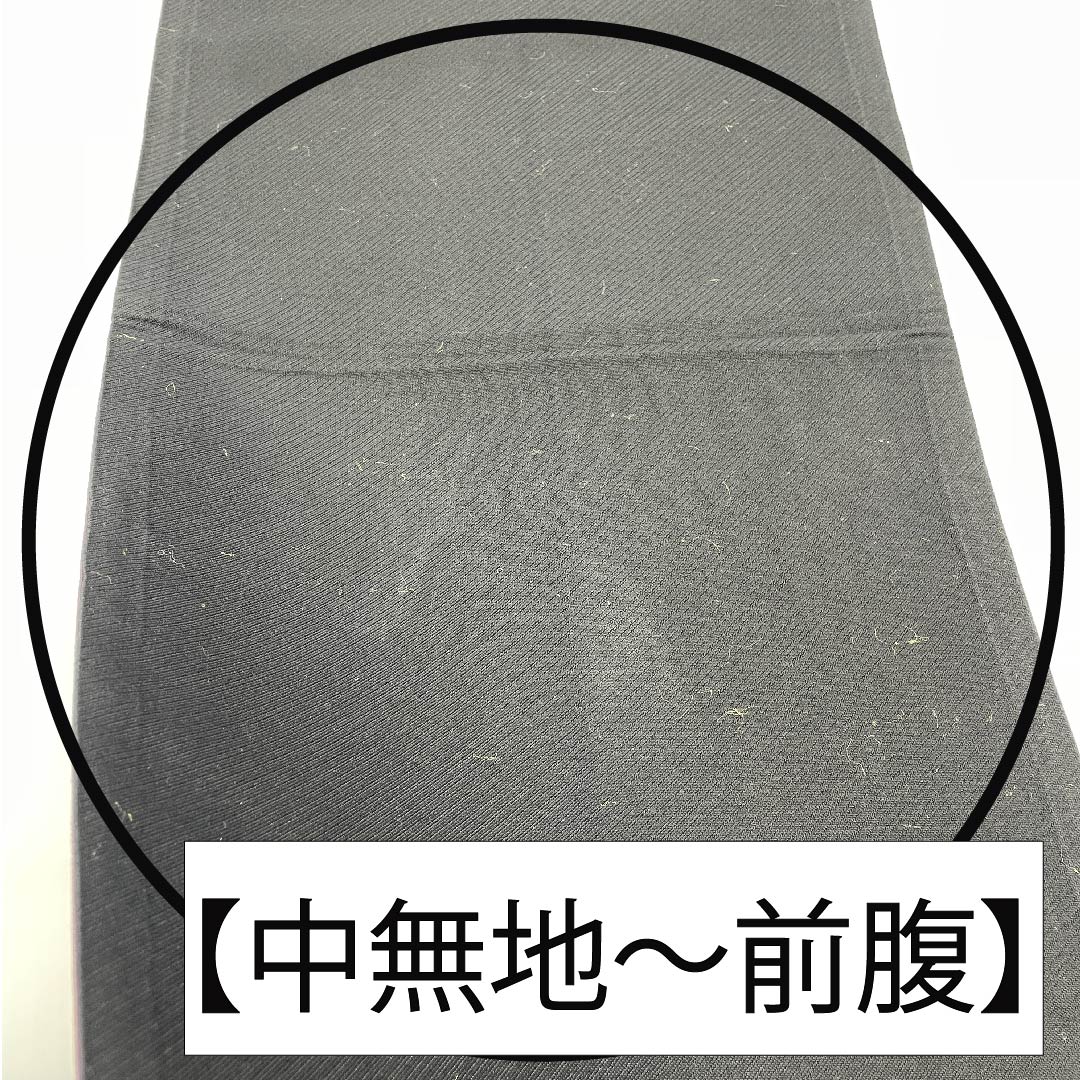 袋帯 正絹 黒色(くろいろ) 桜 ラメ 帯丈450cm Aランク 六通 フォーマル 黒系 1123011653410