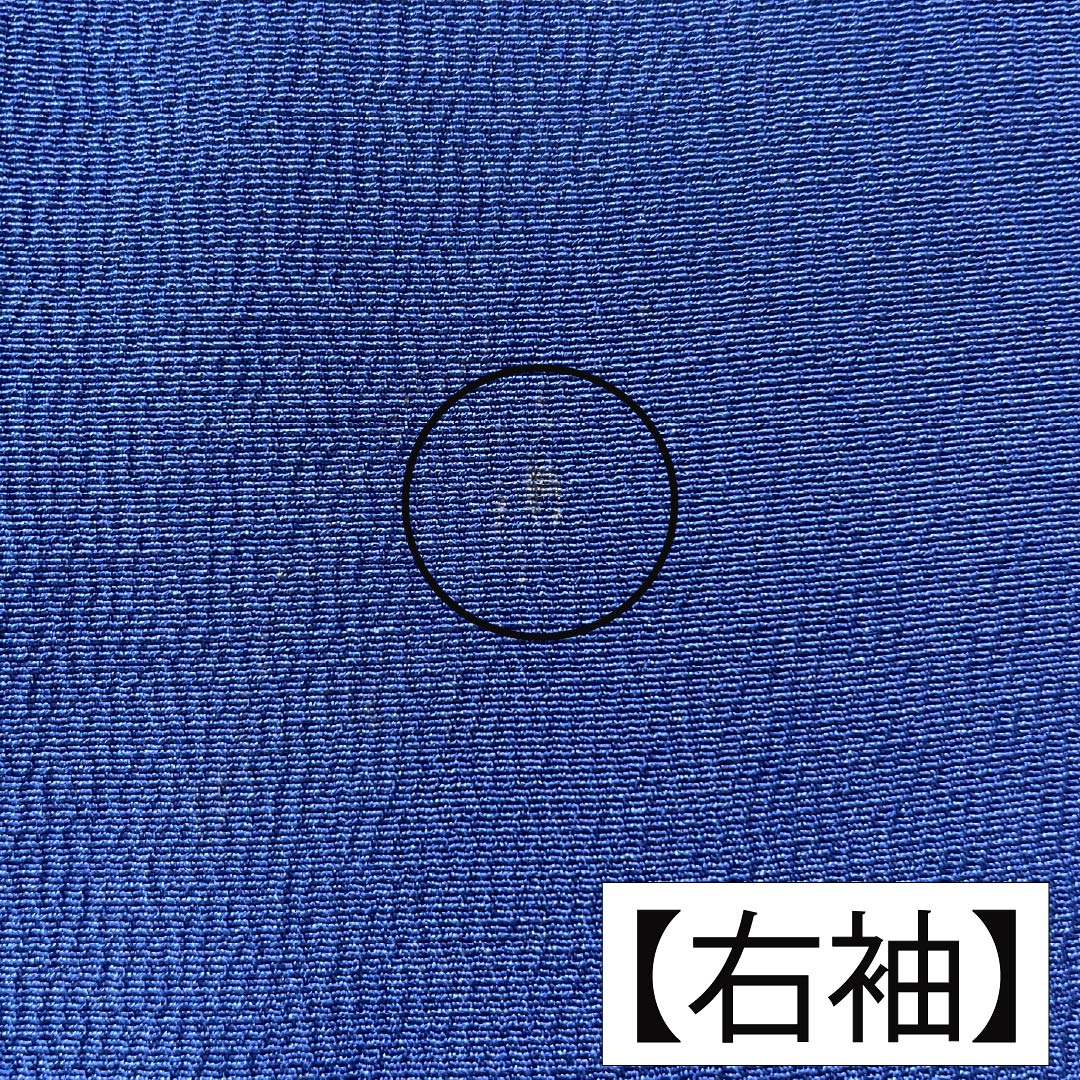 訪問着 正絹 Bランク 袷 身丈158cm 裄丈63.5cm 紺瑠璃色(こんるりいろ) 京紅型 吉祥文様 松竹梅 菖蒲 鳥 青系 1112007284317