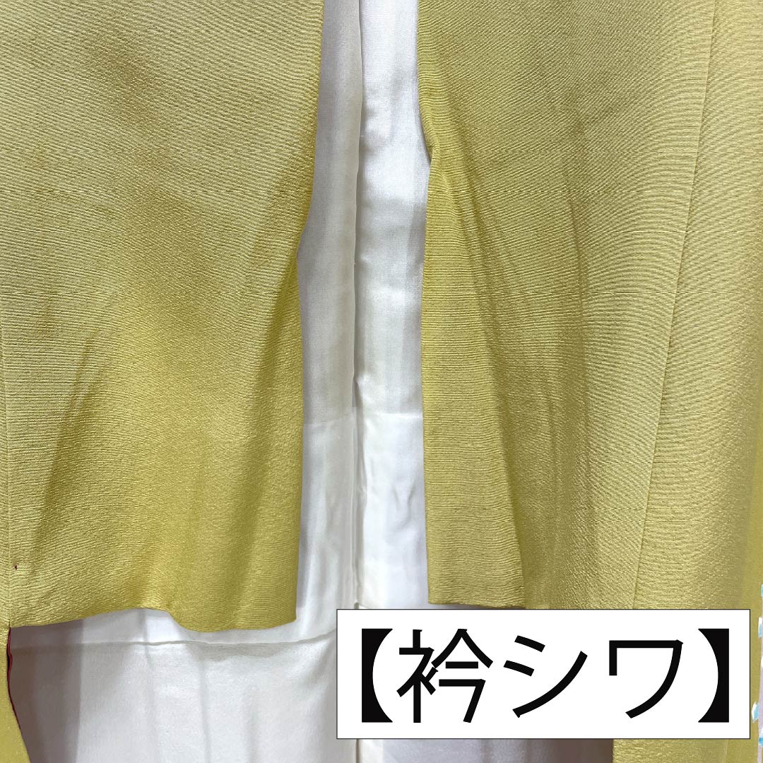 訪問着 正絹 Sランク 袷 身丈149.5cm 裄丈63cm 卵色(たまごいろ) 加賀友禅 手描き 峰山 作家物 草花 黄系 1112007262123