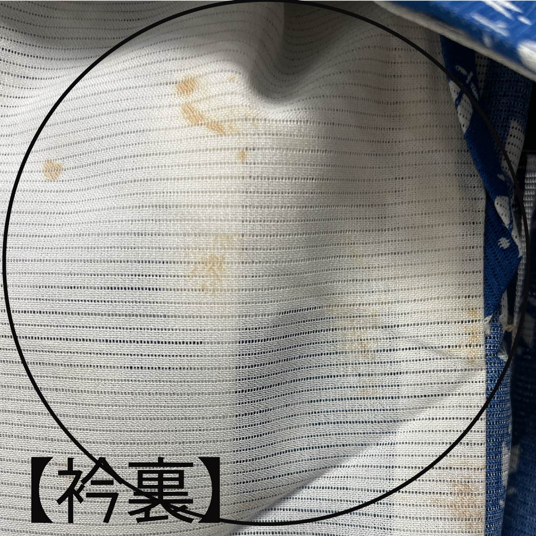 Summer Polyester Komon Length 151cm Sleeve length 62.5cm Hekiruriiro Tulip Silk B Rank Blue 1132000304217