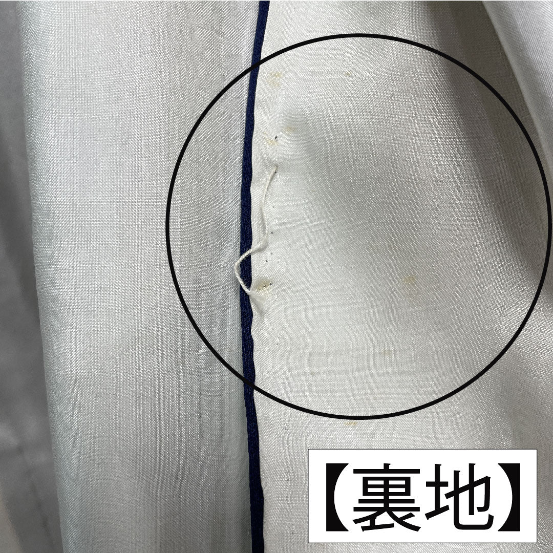 訪問着 正絹 袷 身丈159cm 裄丈65cm 濃紺色(のうこんいろ) 蝶 薔薇 Aランク 紺系 1112005883318