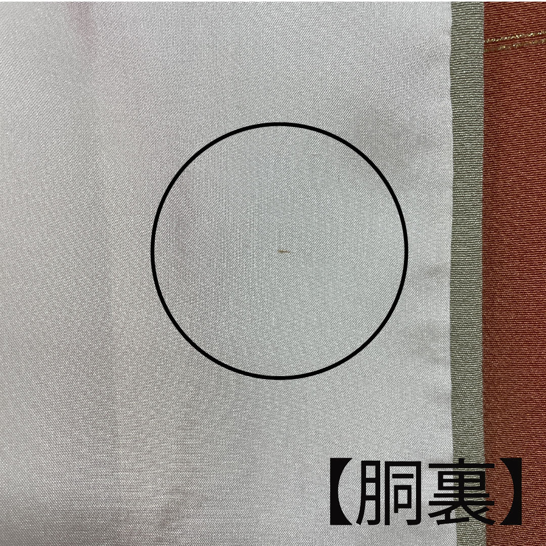 訪問着 袷 身丈145cm 裄丈63cm 珊瑚色 京友禅 桜 流水 正絹 Aランク 朱系 1112002053116
