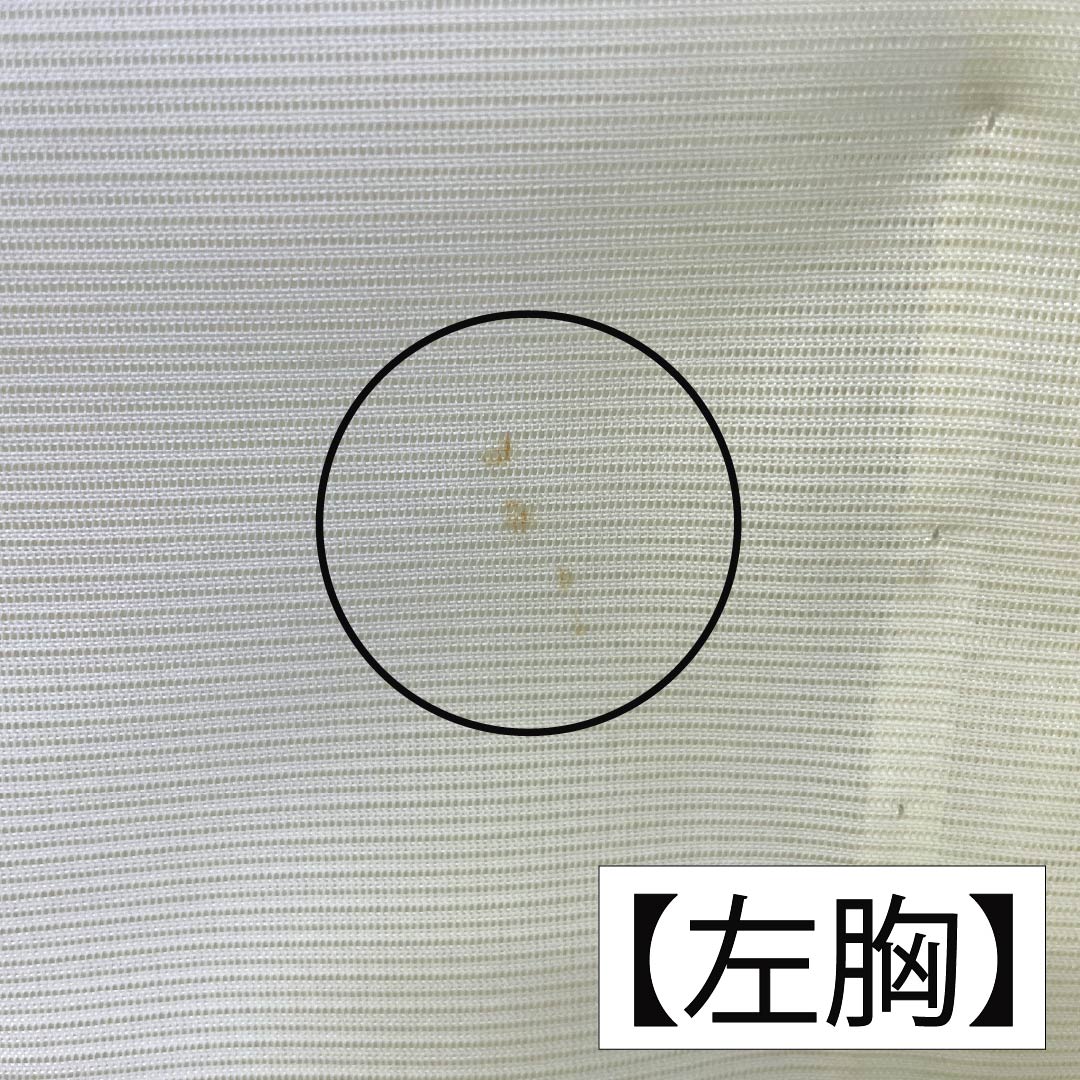 夏物 ポリエステル 訪問着 Aランク 身丈160.5cm 裄丈63cm 白百合色(しらゆりいろ) 竹 付下げ 洗える着物 絽 黄系 1132003453423