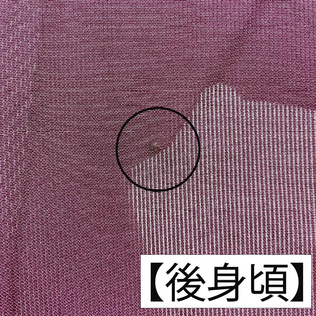夏物 正絹 色無地 Aランク 身丈154.5cm 裄丈65.5cm 蒲萄色(えびいろ) 片輪車 紗 紫系 1132006493220