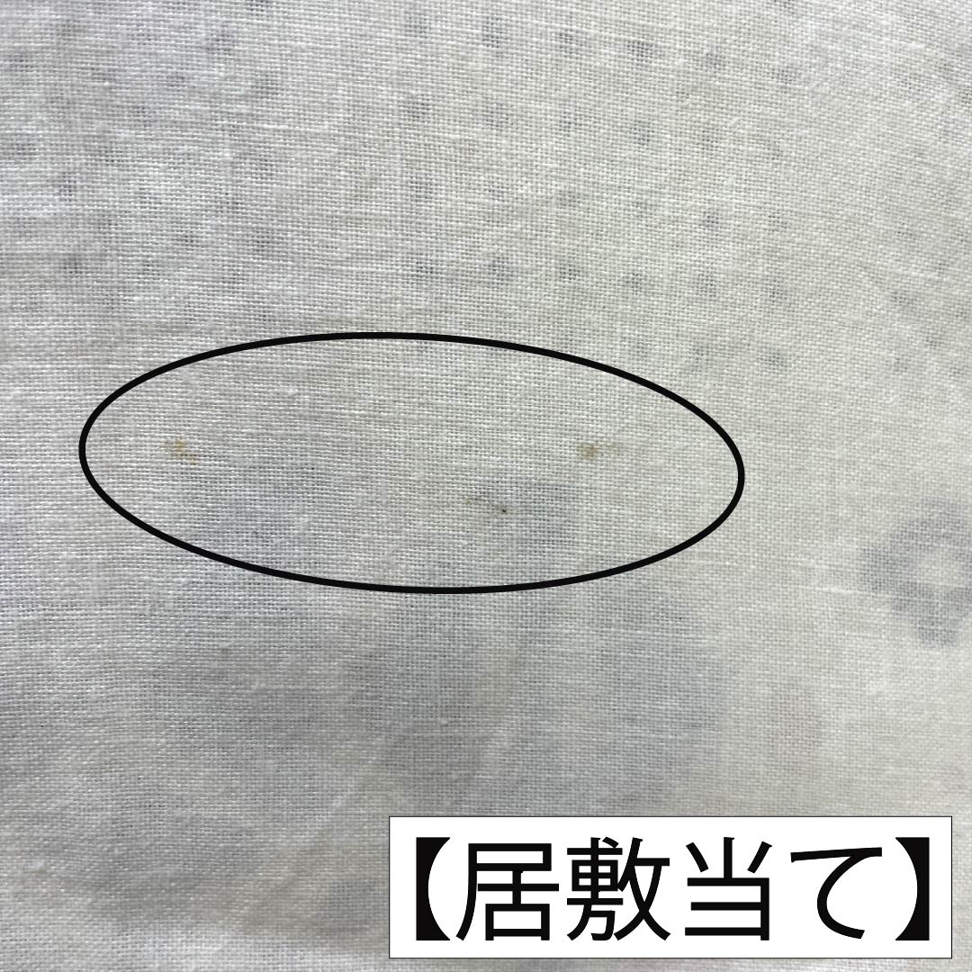 夏物 ポリエステル 紬 Bランク 身丈159.5cm 裄丈64cm 鳥の子色(とりのこいろ) 洗える着物 抽象模様 居敷当て付き 紗 クリーム系 1132007054315