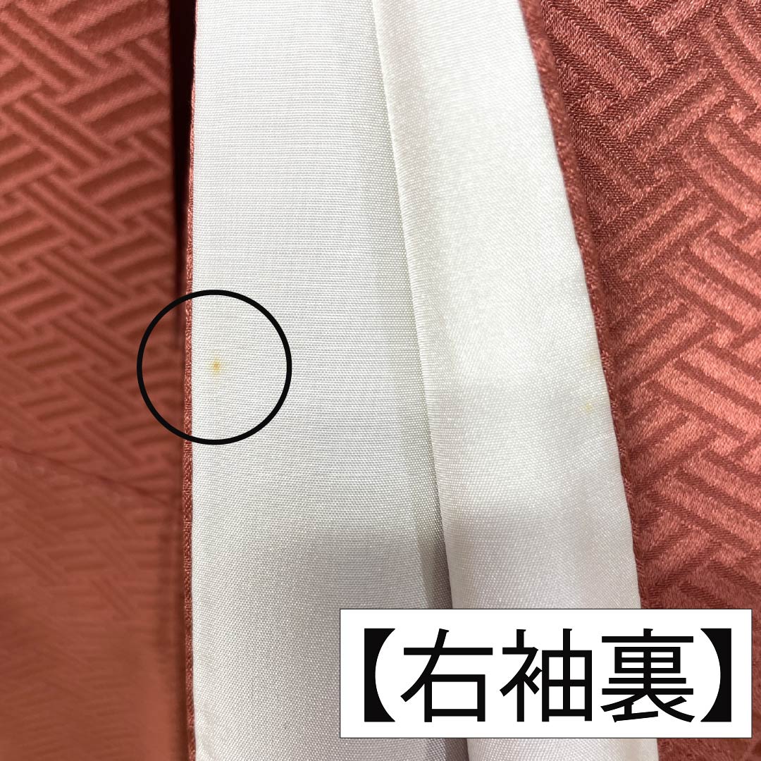 訪問着 正絹 Aランク 袷 身丈164cm 裄丈64.5cm 甚三紅色(じんざもみいろ) 京友禅 金駒刺繡 銀駒刺繍 絞り 蝶 赤系 1112007393412