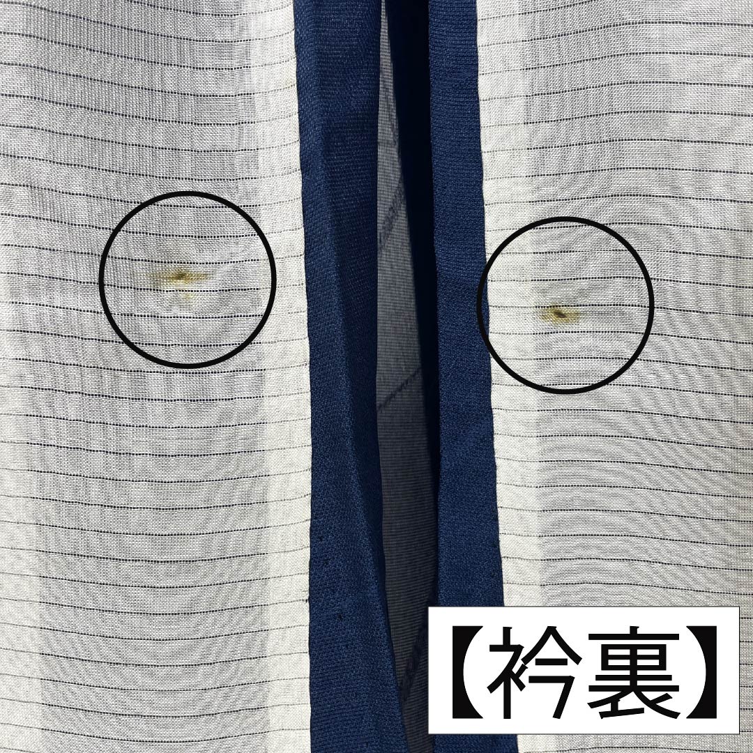 夏物 正絹 色無地 Aランク 身丈158.5cm 裄丈62cm 韓藍色(からあいいろ) 抽象模様 紗 青系 1132004383317