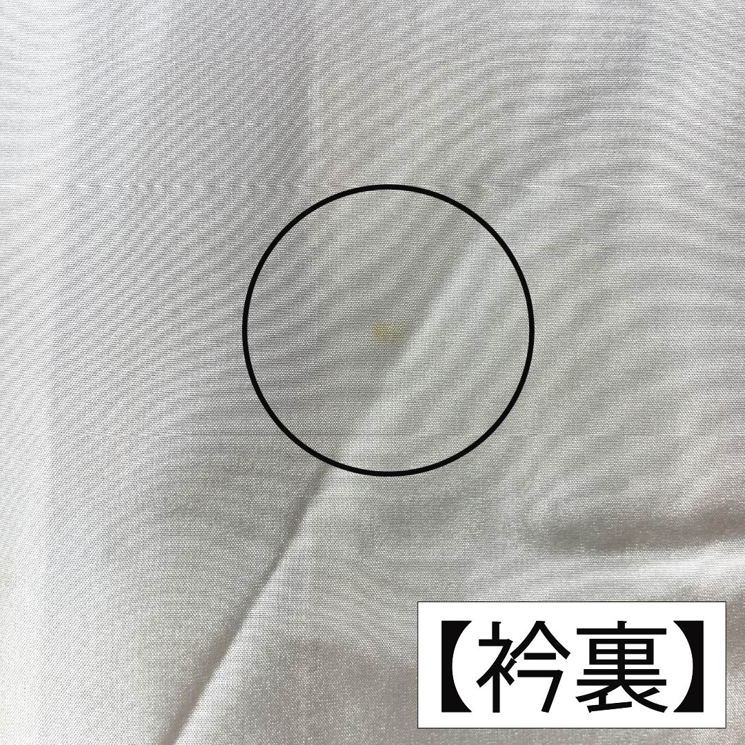 振袖 正絹 Aランク 身丈164.5cm 裄丈67.5cm 袷 牛血紅色(ぎゅうけつこういろ) 京紅型 吉祥文様 夢ガード加工 赤系 1113002923412