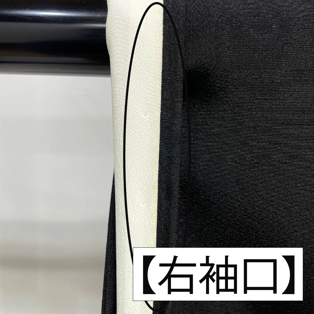 黒留袖 正絹 Bランク 身丈157cm 裄丈64.5cm 袷 五つ紋 五三桐 鶴 松 流水 五つ紋 黒系 1111001914310