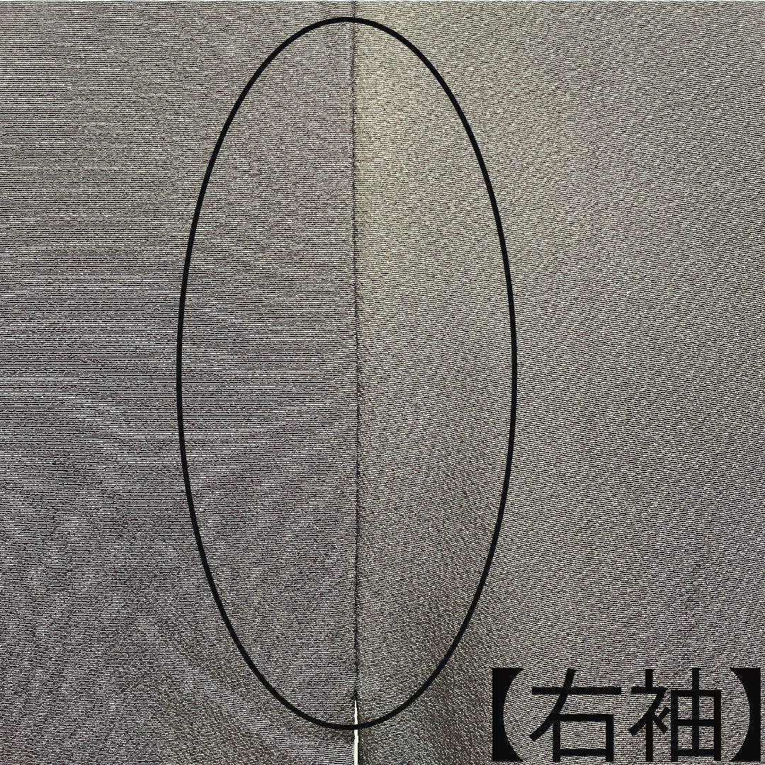 黒留袖 正絹 身丈163.5cm 裄丈66cm 袷 金駒刺繡 菊 揚羽蝶 五つ紋 Bランク 五つ紋 黒系 1111001194410