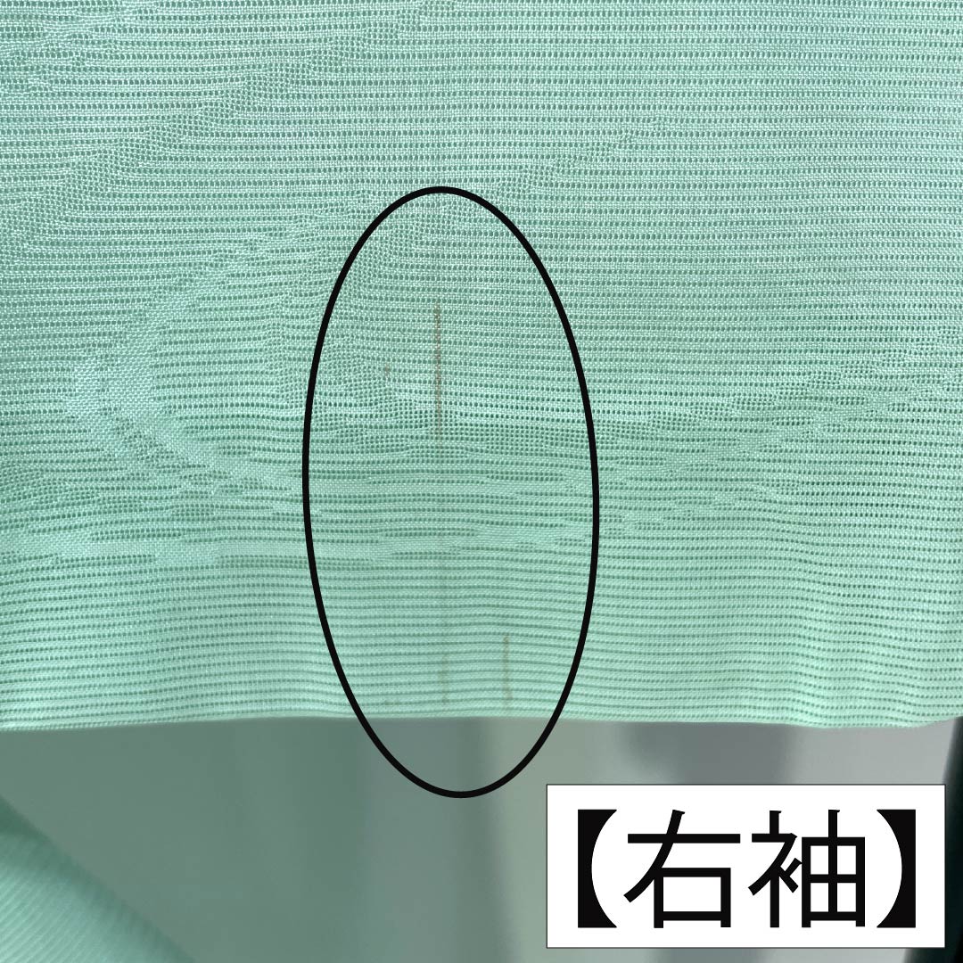 夏物 正絹 色無地 Aランク 身丈155.5cm 裄丈64cm 薄緑色(うすみどりいろ) 素無地 一つ紋 上り藤に一文字 絽 緑系 1132004743319