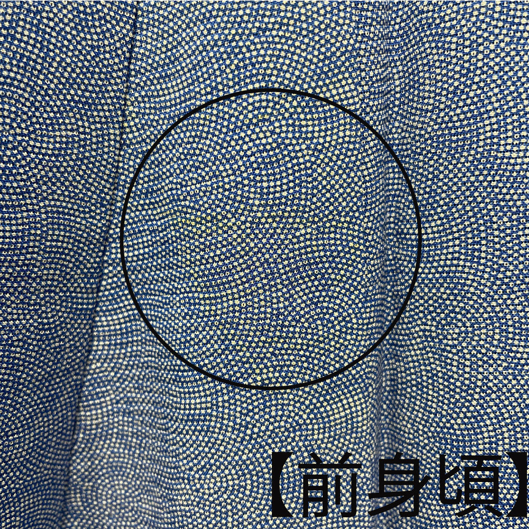 夏物 正絹 小紋 身丈149cm 裄丈63.5cm 勿忘草色(わすれなぐさいろ) 江戸小紋 鮫小紋 中陰花菱 絽 Aランク 青系 1132001593117