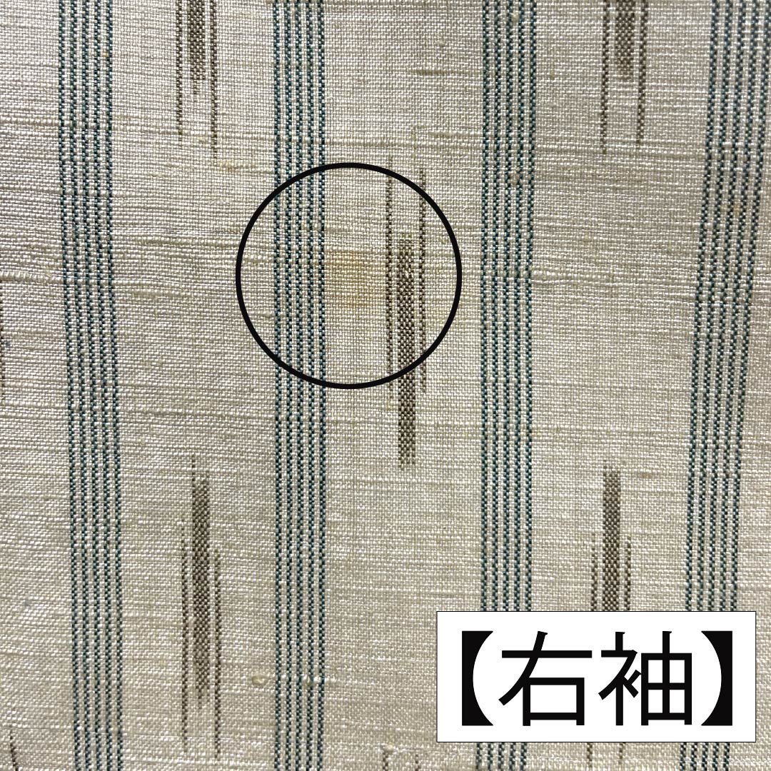 紬 正絹 Aランク 身丈171cm 裄丈68cm 鳥の子色(とりのこいろ) 真綿紬 縞 絣 袷 ベージュ系 1116004233625