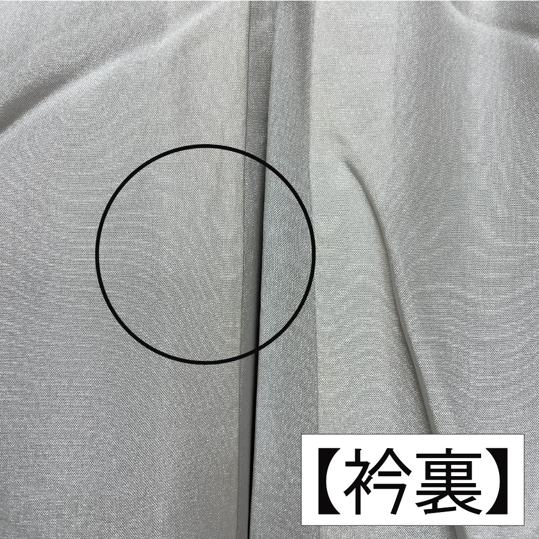 訪問着 正絹 袷 身丈159cm 裄丈62cm 楊梅色(やまももいろ) 京友禅 山茶花 Sランク 黄系 1112005232323