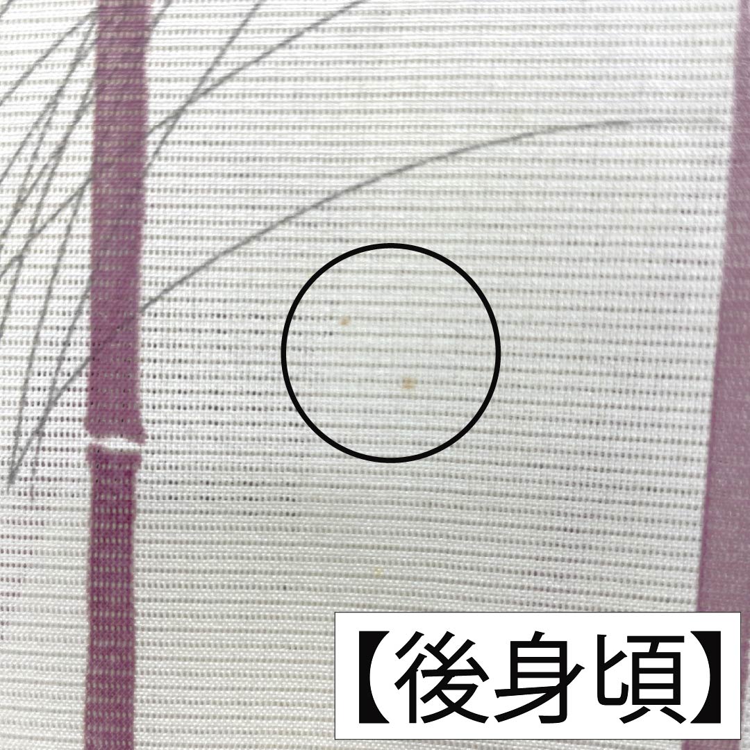 夏物 ポリエステル 小紋 Aランク 身丈158cm 裄丈64cm 乳白色(にゅうはくしょく) 洗える着物 竹 ススキ 絽 クリーム系 1132006083315