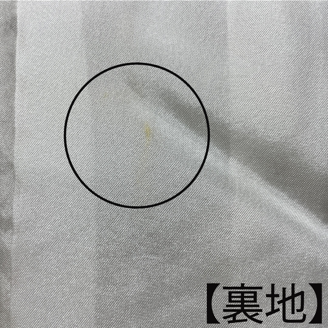 訪問着 正絹 袷 身丈157.5cm 裄丈63.5cm 楊梅色 辻ヶ花 Sランク ベージュ系 1112003512325