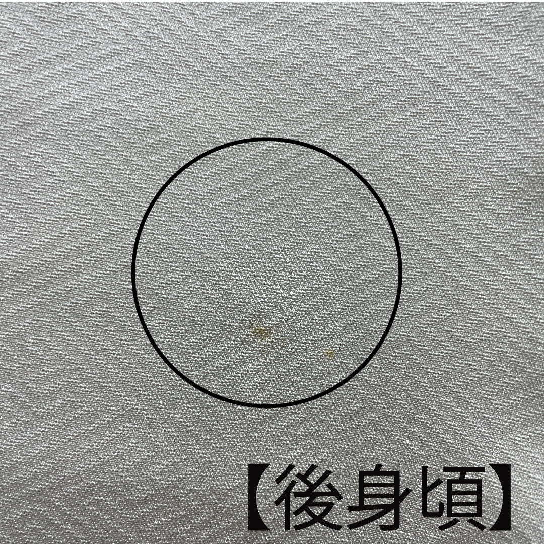 訪問着 袷 身丈162cm 裄丈64cm 胡粉色 金彩加工 刺繡 正絹 Aランク グレー系 1112002363422