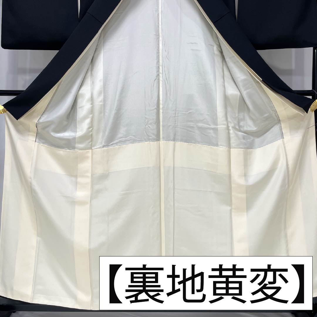 Black Tomesode (Tomesode) - Pure Silk, Grade A, Length 158.5cm, Sleeve Length 64cm, Lined, Gold-colored, Five Crests, Wisteria Design, Bundled Noshi, Five Crests, Black, Item Number 1111002043310