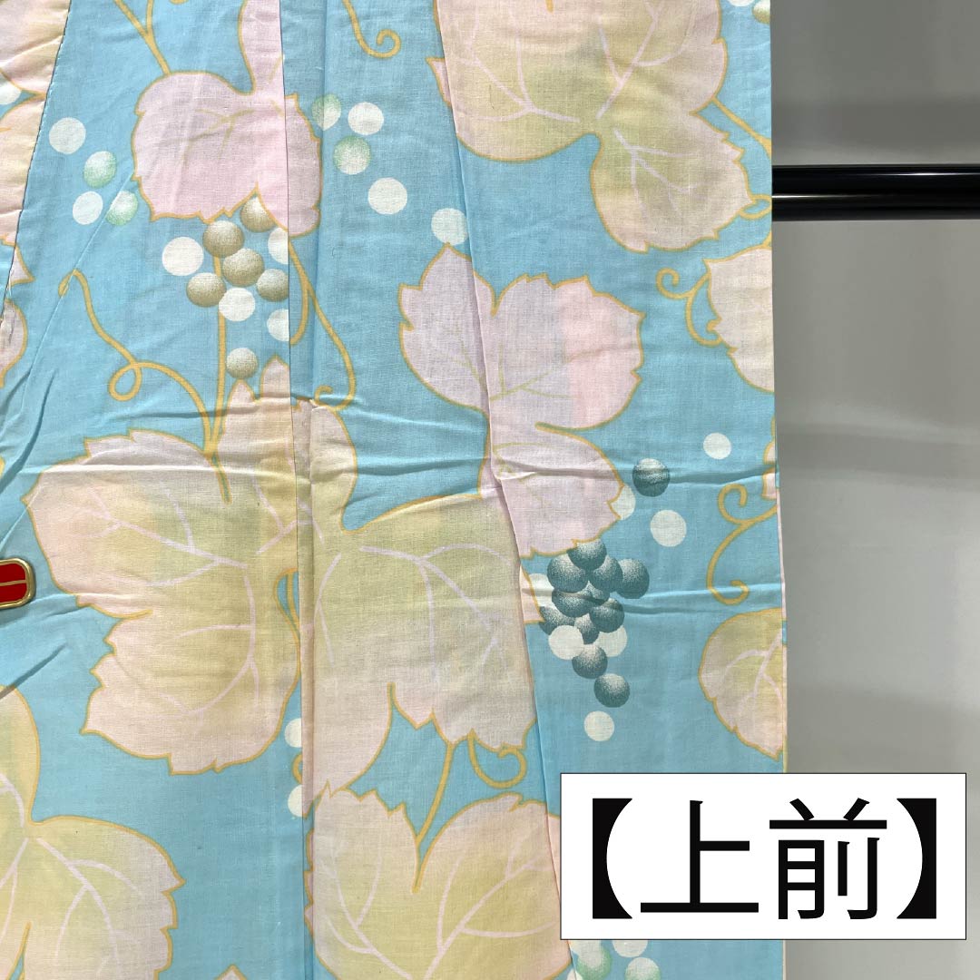 浴衣 木綿 身丈166cm 裄丈64cm Aランク 単衣 水色系 水色(みずいろ) 蒲萄 蔦 1118006503524