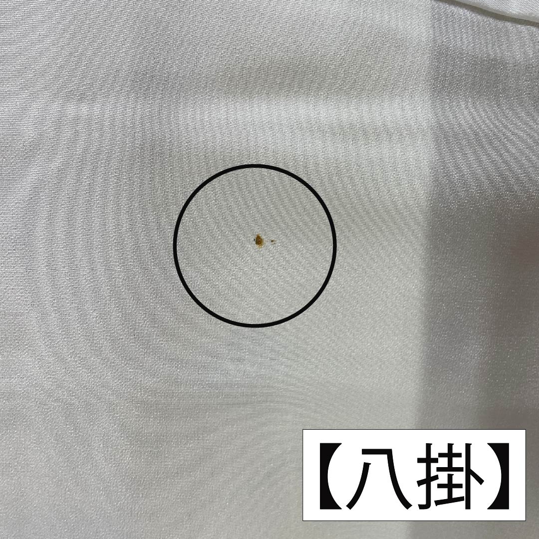 小紋 正絹 Aランク 身丈164cm 裄丈65.5cm 袷 丁子茶色(ちょうじちゃいろ) 型染 本草木染 昭三 作家物 ベージュ系 1115007553425