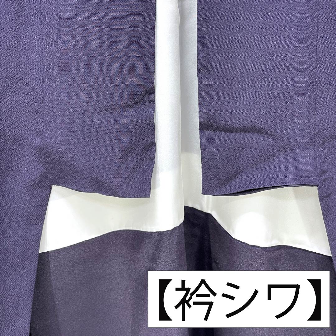 訪問着 正絹 Aランク 袷 身丈157.5cm 裄丈64.5cm 紫烏色(しうしょく) 蘇州刺繡 花丸 吉祥文様 付下げ 紫系 1112007233320