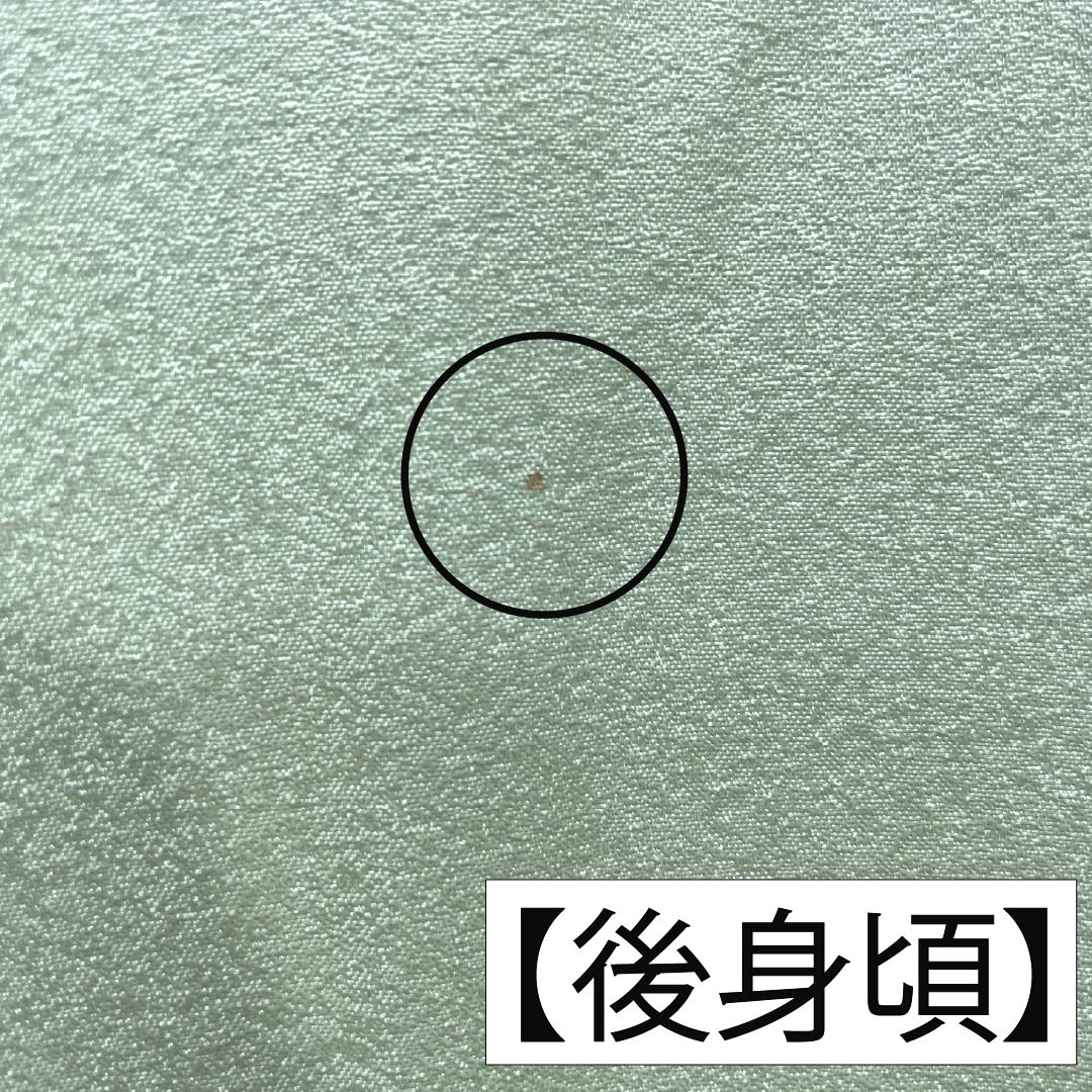 訪問着 正絹 Sランク 袷 身丈166.5cm 裄丈62cm 薄緑色(うすみどりいろ) 京友禅 草花 しつけ糸付き 緑系 1112007602519