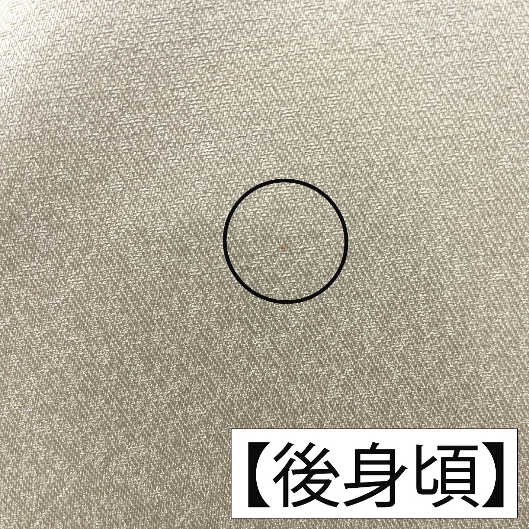 訪問着 正絹 Aランク 袷 身丈165.5cm 裄丈64cm 砥粉色(とのこいろ) 京友禅 ススキ 草花 萩 ベージュ系 1112007253525