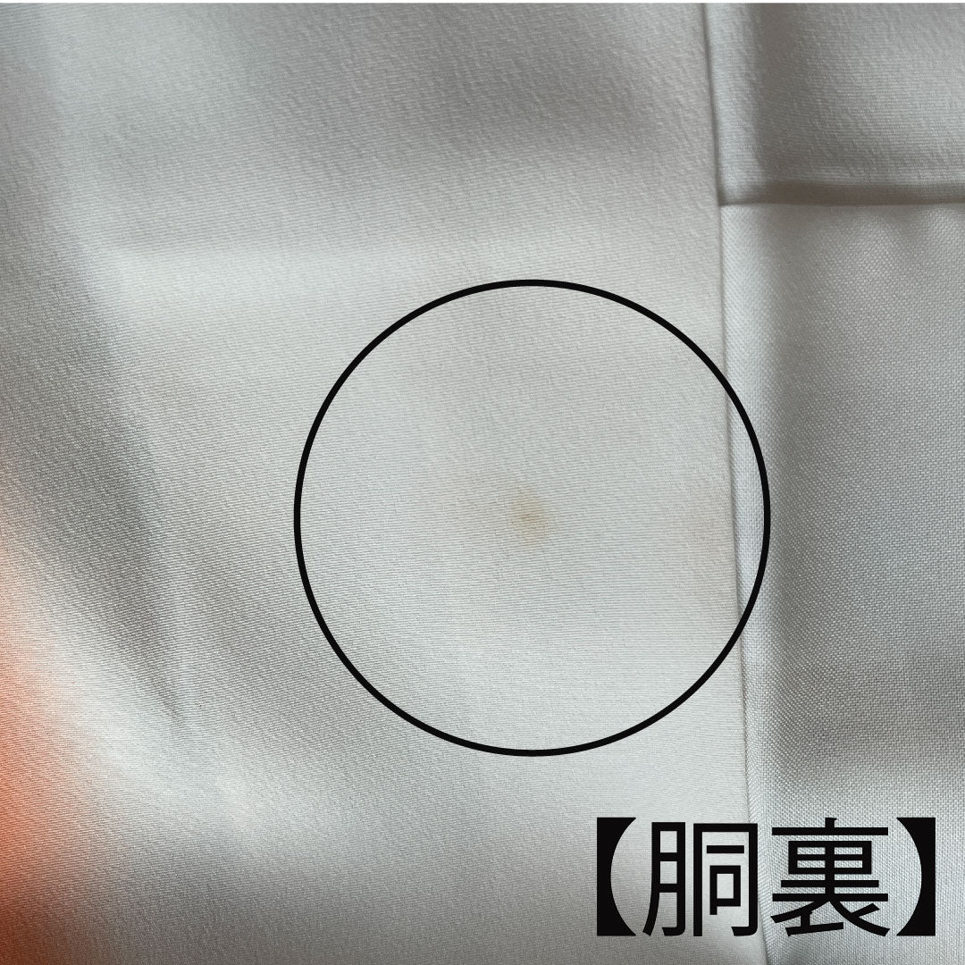小紋 身丈163.5cm 裄丈64cm 袷 変り松皮菱 草花模様 正絹 Aランク 白系 1115002393411