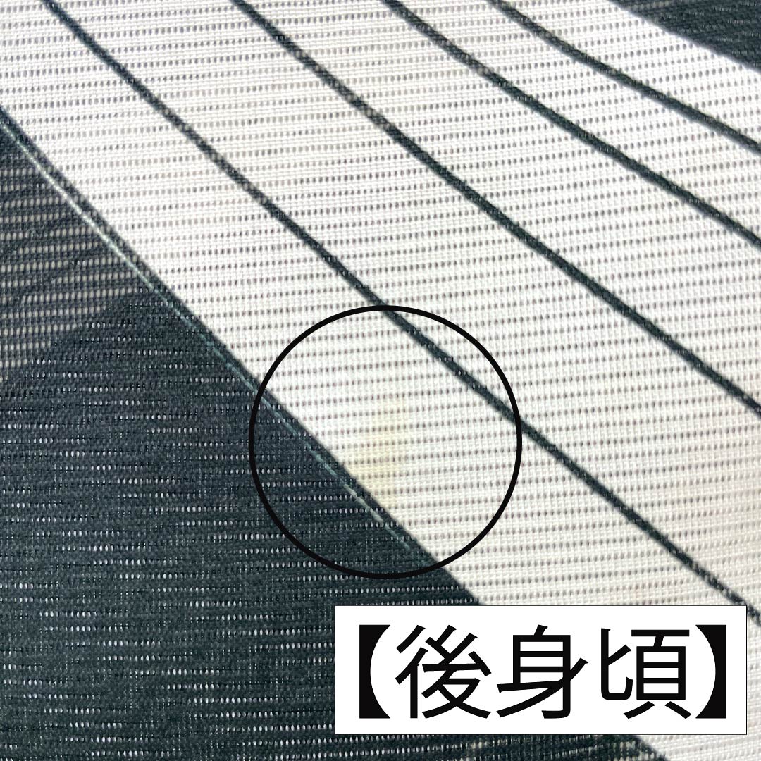 夏物 ポリエステル 小紋 Bランク 身丈159.5cm 裄丈65cm 花柄 洗える着物 絽 黒系 1132005144310