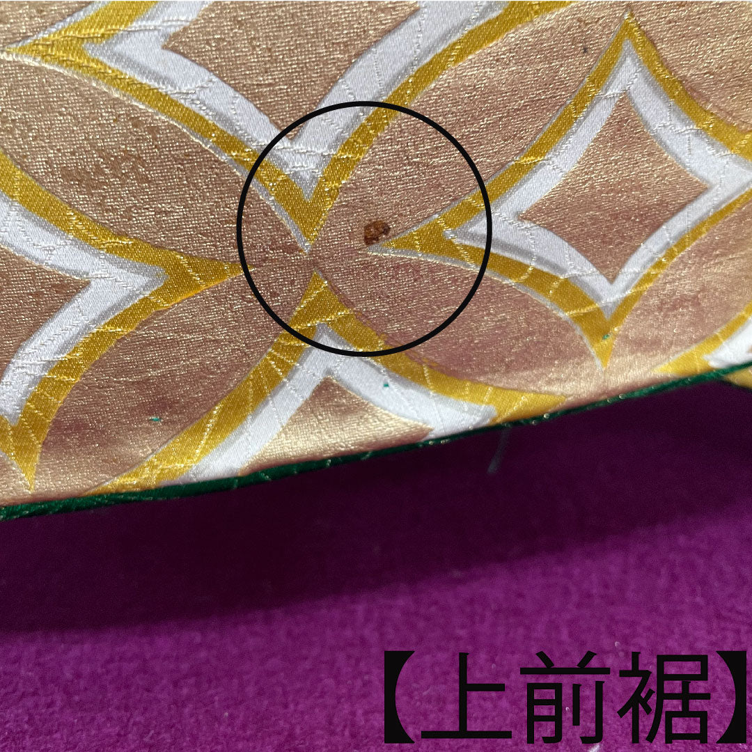 振袖 正絹 身丈161.5cm 裄丈65cm 袷 濡葉色 京友禅 吉祥文様 Aランク 緑系 1113001973419