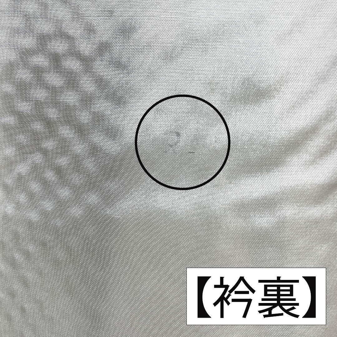 訪問着 正絹 Aランク 袷 身丈153cm 裄丈62.5cm 千歳茶色(せんざいちゃいろ) 絞り 菊 流水 しつけ糸付き 緑系 1112006753219