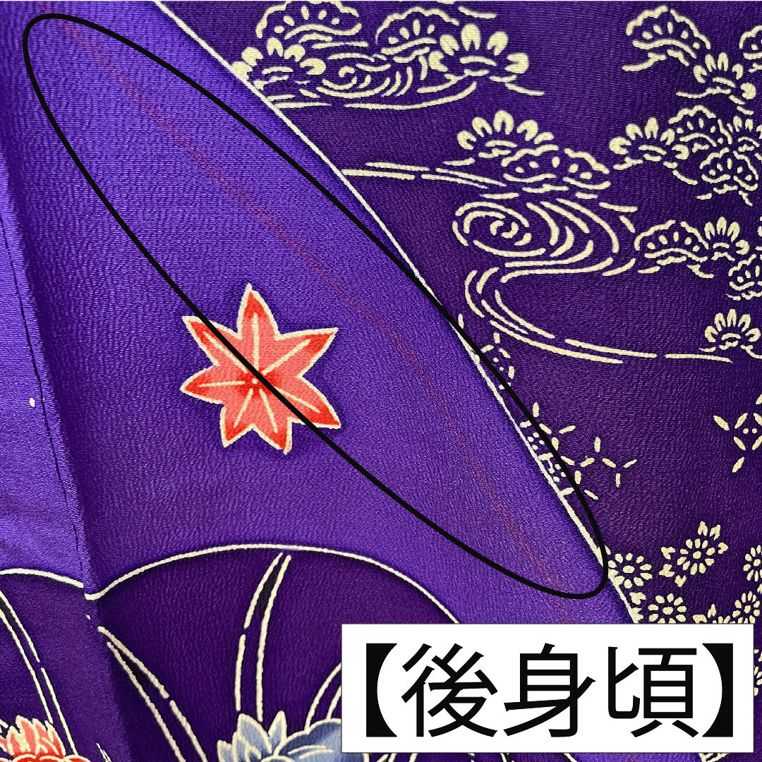 Furisode (long-sleeved kimono) made of pure silk, length 164.5cm, sleeve length 66cm, lined, bellflower color, violet color, Kyoto Bingata, auspicious motif, half-collar, B rank, purple, 1113002014420