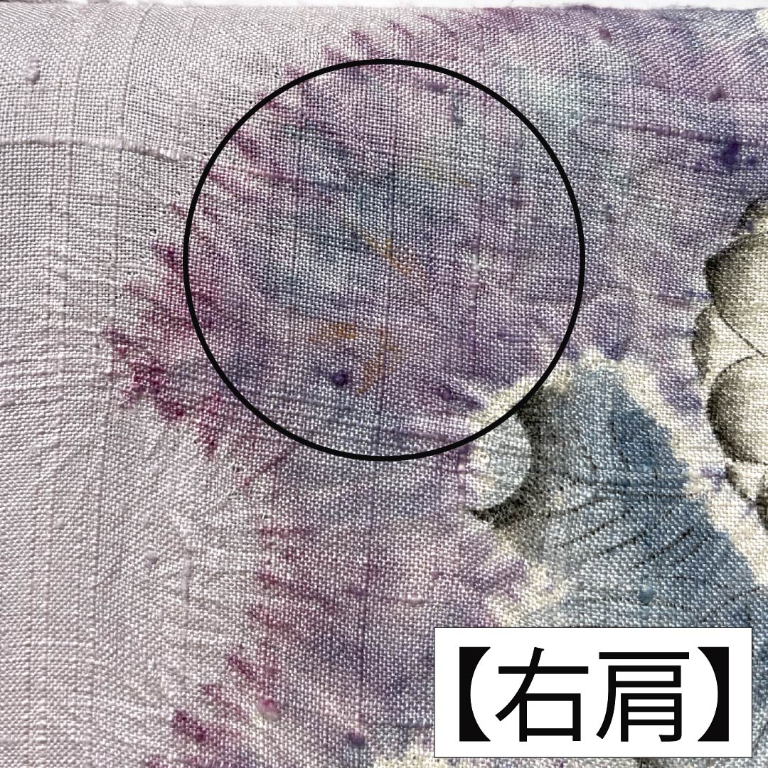 訪問着 正絹 Bランク 単衣 身丈165.5cm 裄丈64.5cm 白藤色(しらふじいろ) 紬地 絞り 作家物 辻ヶ花 紫系 1112007554520