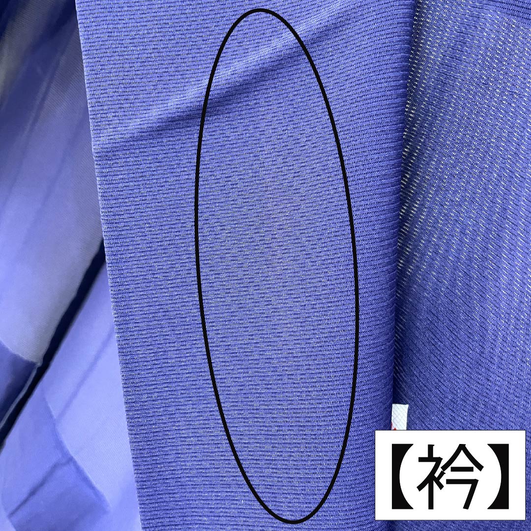 夏物 正絹 訪問着 Aランク 身丈158.5cm 裄丈62.5cm 濃桔梗色(こいききょういろ) 付下げ 秋草模様 蛍 絽 紺系 1132004703318