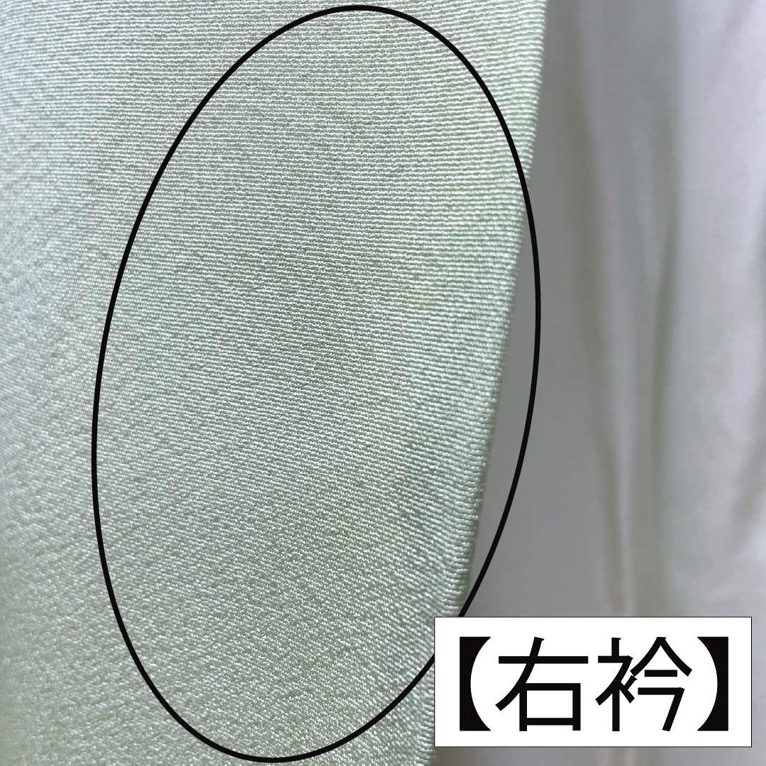 訪問着 正絹 Bランク 袷 身丈165cm 裄丈65.5cm 薄緑色(うすみどりいろ) 花 作家物 周市 しつけ糸付き 緑系 1112006974519