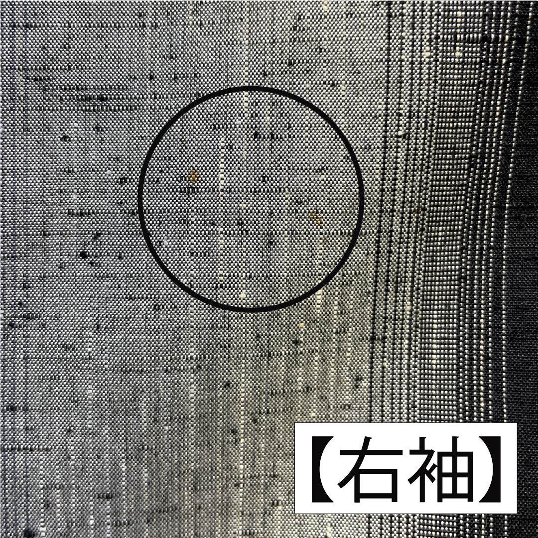 男物 正絹 Aランク 身丈cm 裄丈cm 縞 紬地 羽織紐付き グラデーション系 1119001103199