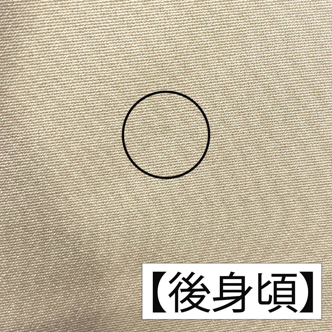 Homongi (visiting kimono) made of pure silk, grade A, with a lined lining, length 165cm, sleeve length 64.5cm, Tokyo white-brown color with hazy, pine, and bamboo motifs and pearl-tone beige accents. Product number: 1112006883525