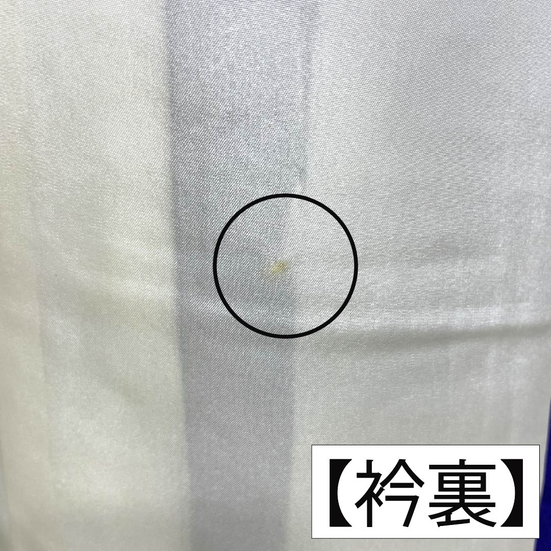 振袖 正絹 Aランク 身丈163cm 裄丈64cm 袷 青紫色(あおむらさきいろ) 京紅型 吉祥文様 三松シルクケア 青系 1113002823417