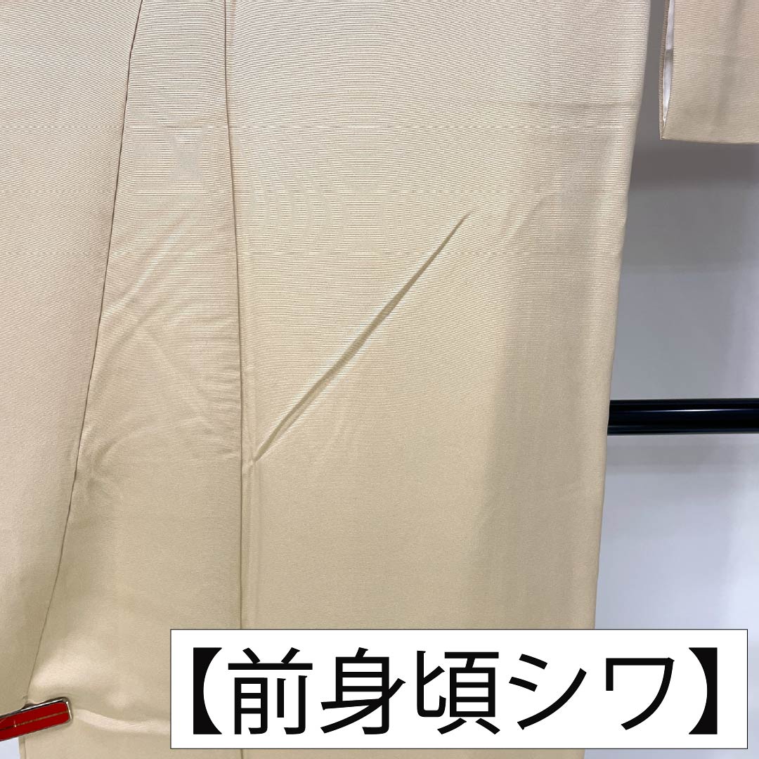 色留袖 正絹 Sランク 身丈167cm 裄丈68cm 袷 東京白茶色(とうきょうしらちゃいろ) 京友禅 松 屏風 一つ紋 丸に三つ柏 パールトーン加工 一つ紋 クリーム系 1111002182515