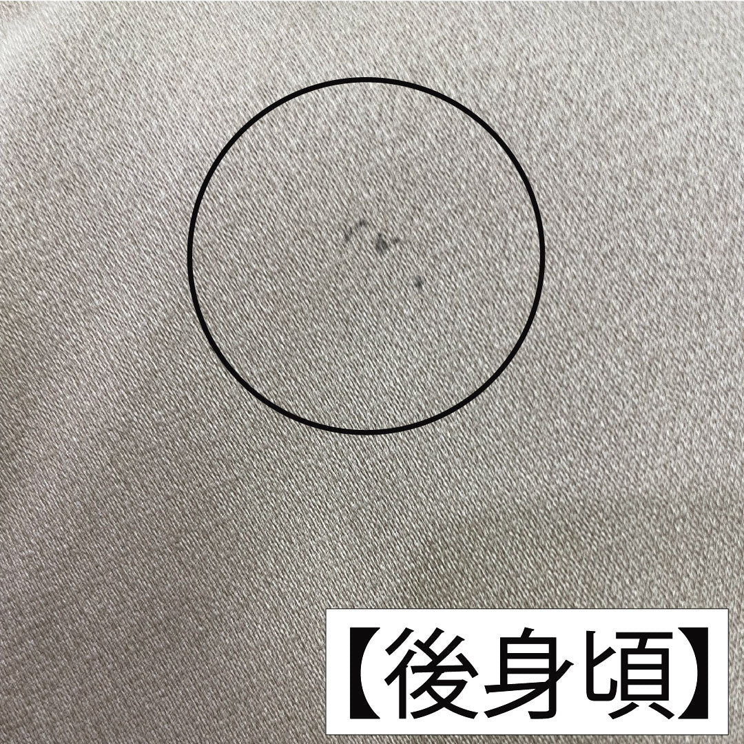 訪問着 袷 身丈167cm 裄丈66cm 芽色 京友禅 露草 巻物 一つ紋 剣片喰 正絹 Aランク 黄系 1112003933523