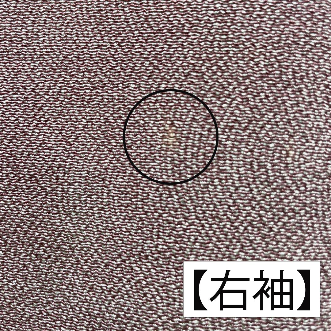 小紋 正絹 Aランク 身丈157cm 裄丈64cm 袷 小豆鼠色(あずきねずいろ) 江戸小紋 鮫小紋 丸に桔梗 一つ紋 グレー系 1115007333322