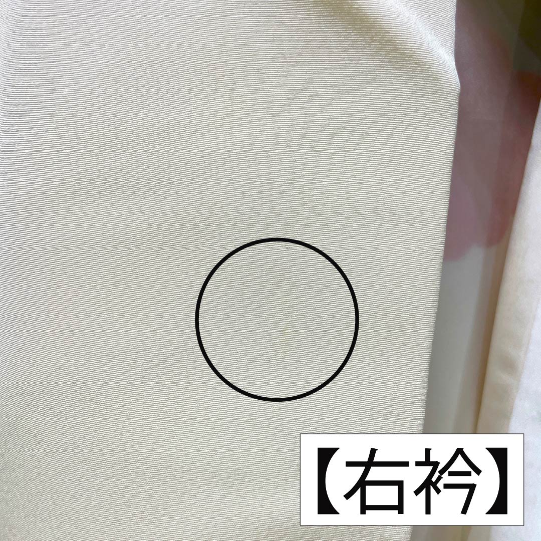 訪問着 正絹 Aランク 袷 身丈157.5cm 裄丈62cm 乳白色(にゅうはくしょく) 京友禅 雲取り しつけ糸付き 白系 1112006563311