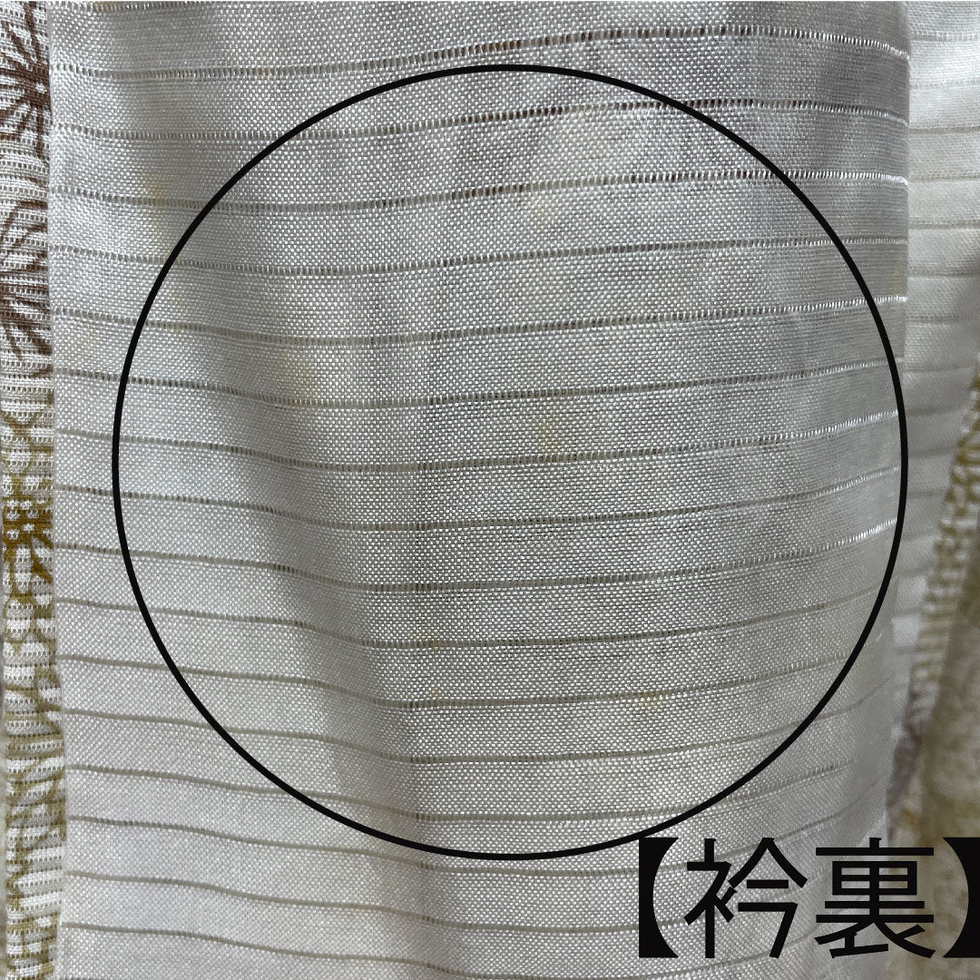Summer pure silk komon length 161.5cm sleeve length 61.5cm milky white chrysanthemum hemp leaf bamboo silk A rank cream 1132001333415