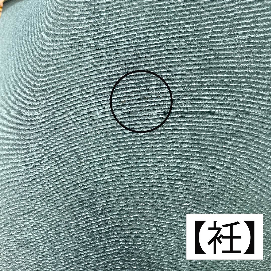 小紋 正絹 身丈152.5cm 裄丈64.5cm 袷 山藍摺色(やまあいずりいろ) 型染 熨斗 花柄 スコッチガード Bランク 緑系 1115005484219