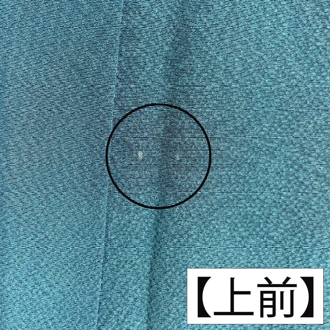 色無地 正絹 Aランク 身丈171.5cm 裄丈67.5cm 蒼黒色(そうこくいろ) ちりめん地 素無地 袷 緑系 1114003033619
