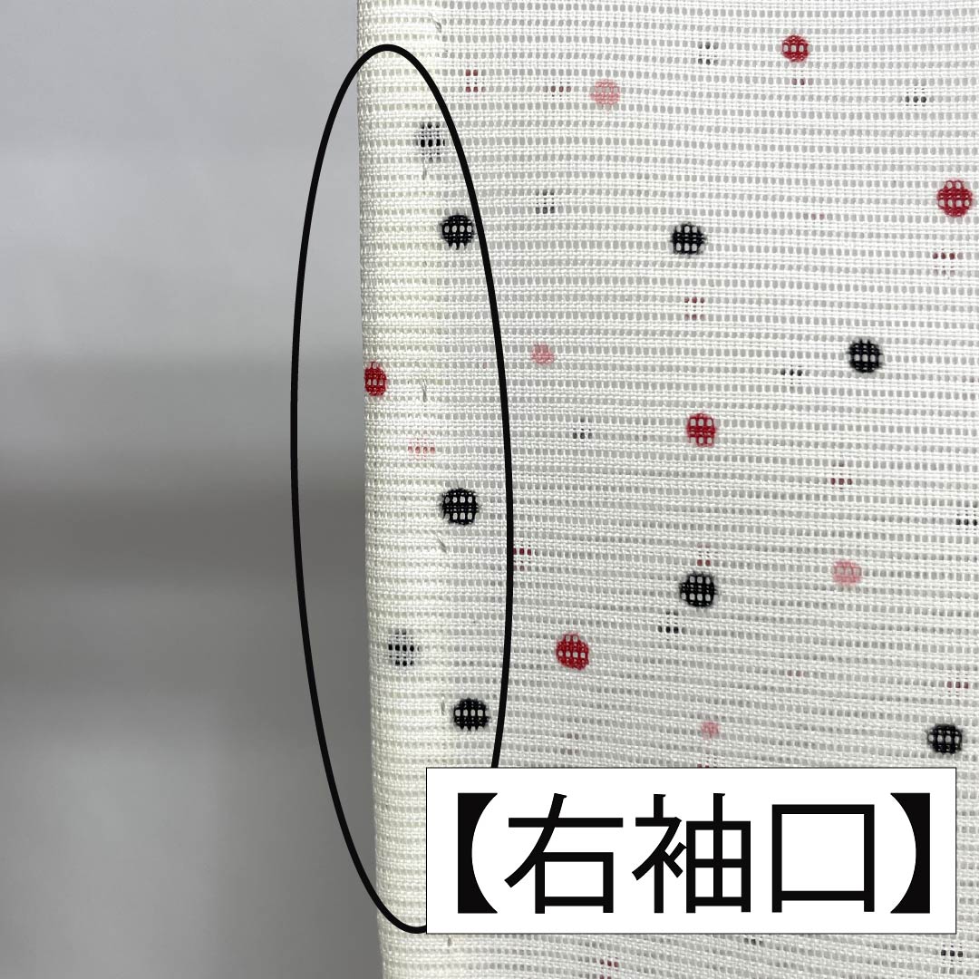 夏物 ポリエステル 小紋 身丈168cm 裄丈66cm ドット柄 洗える着物 絽 Aランク 白系 1132002263511