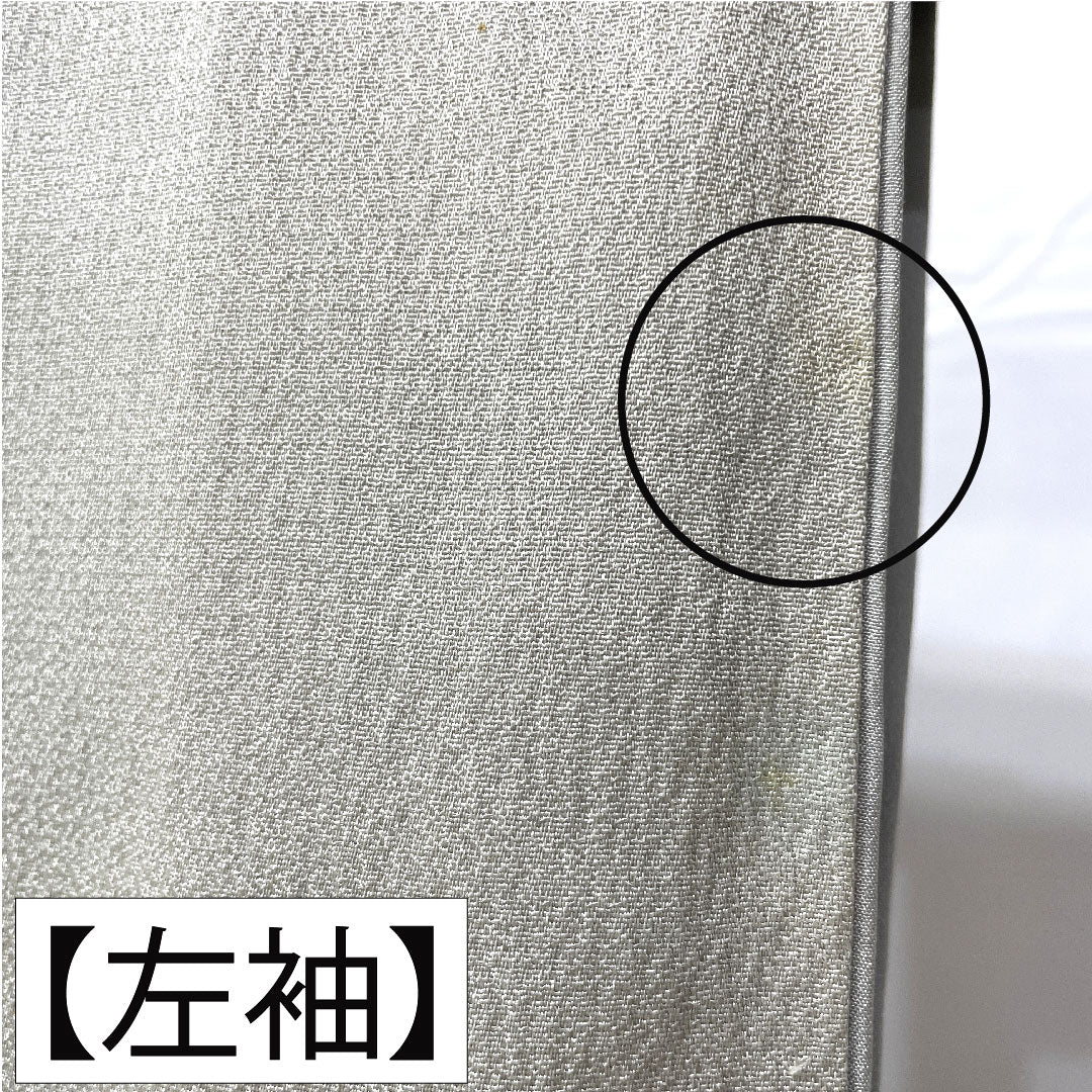 Homongi, pure silk, lined, length 167cm, sleeve length 62.5cm, white-green, Kyo-Yuzen, fan, dew grass, B rank, green, 1112004934519