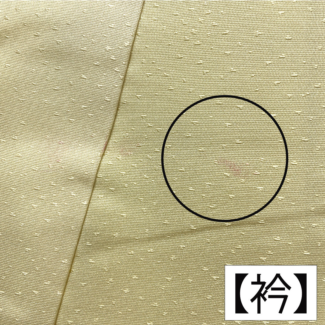 訪問着 正絹 袷 身丈156.5cm 裄丈63cm 淡黄色(たんこうしょく) 京友禅 草花模様 Aランク 黄系 1112005393323