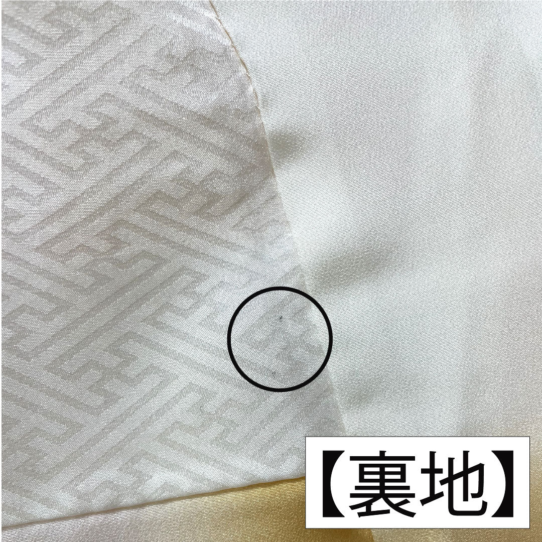 Homongi, pure silk, lined, length 159.5cm, sleeve length 61cm, light tangerine color, Sagara embroidery, floral pattern, one crest, quince, S rank, yellow, 1112005082323