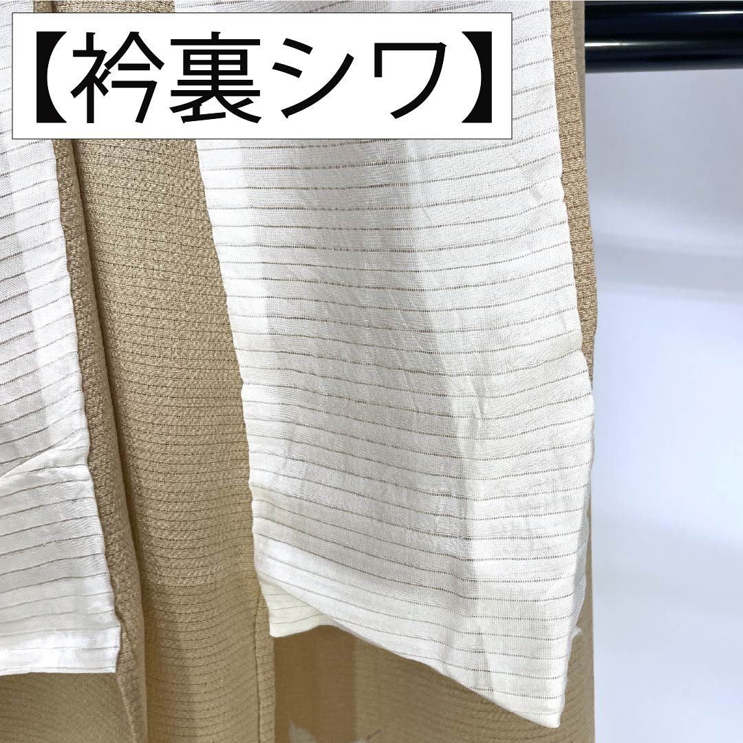 夏物 正絹 付下げ Sランク 身丈150.5cm 裄丈62cm 丁子色(ちょうじいろ) 南克治 加賀友禅 一つ紋 絽 ベージュ系 1132005062125